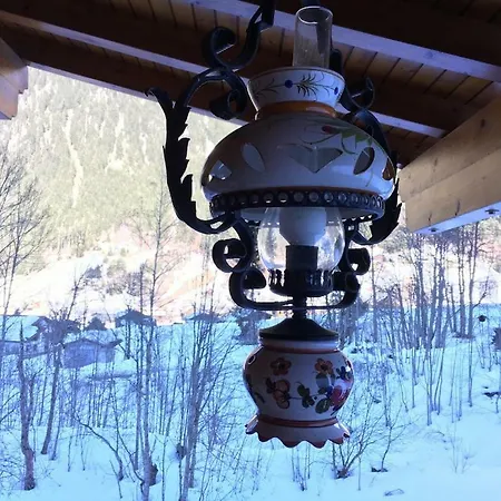 度假居 Alpenstern 加舒恩