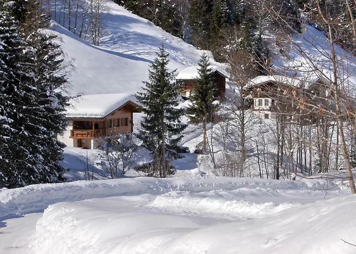 Alpenstern 度假居