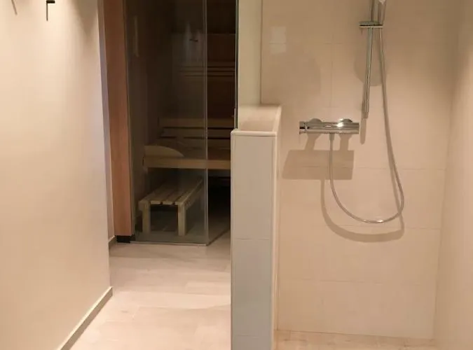 Alpenstern * 加舒恩